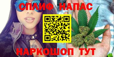 спайс Будённовск
