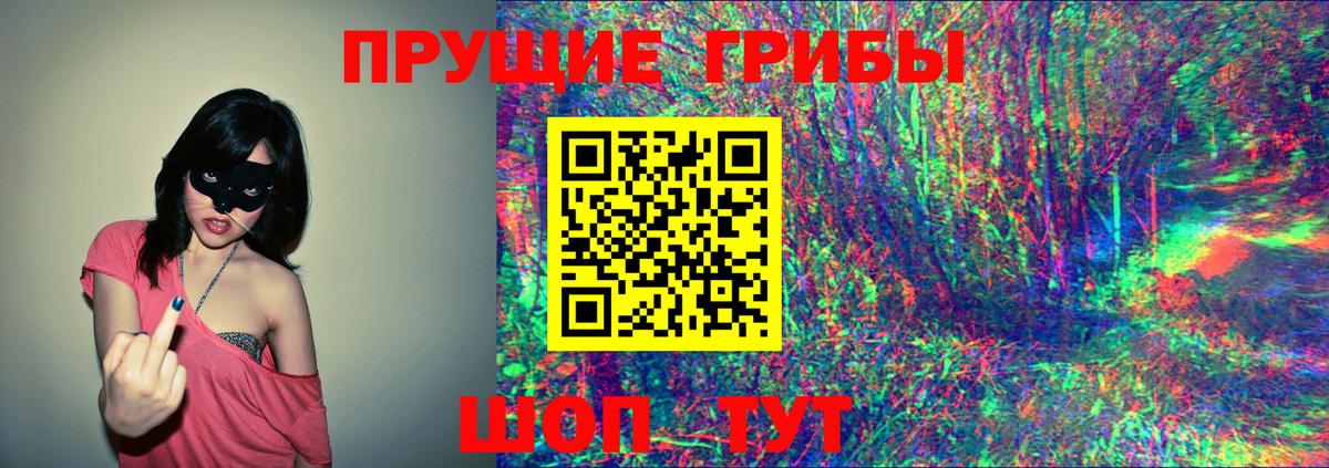 Галлюциногенные грибы прущие грибы  Псилоцибиновые грибы Psilocybe  Ревда  Вход с VPN 